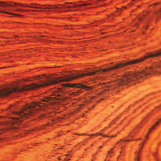 Cocobolo